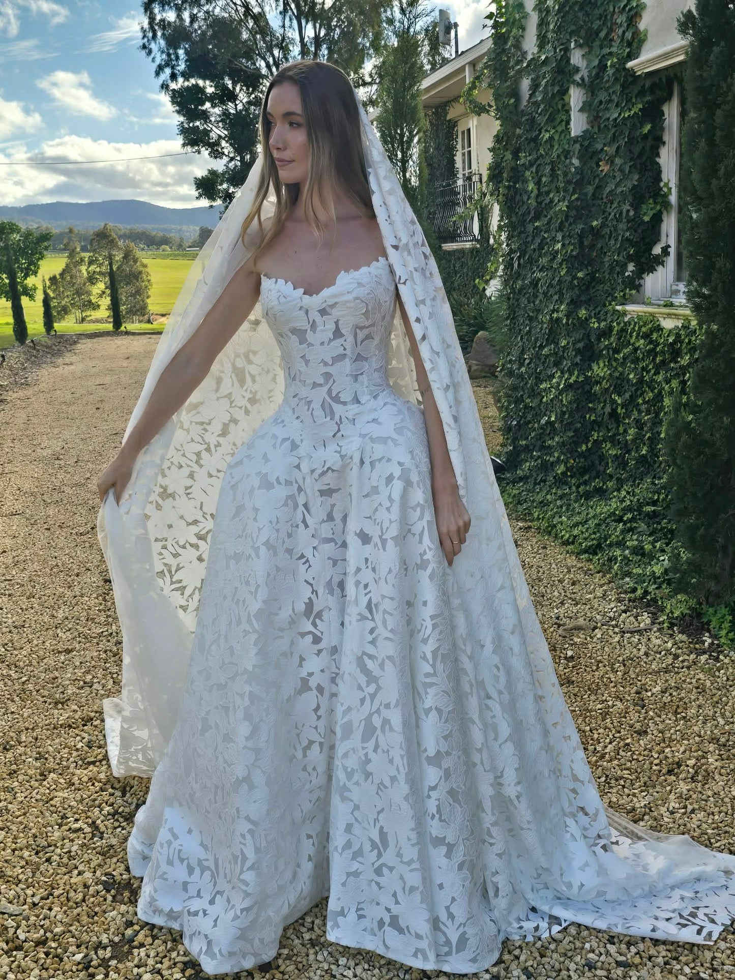 Sofia